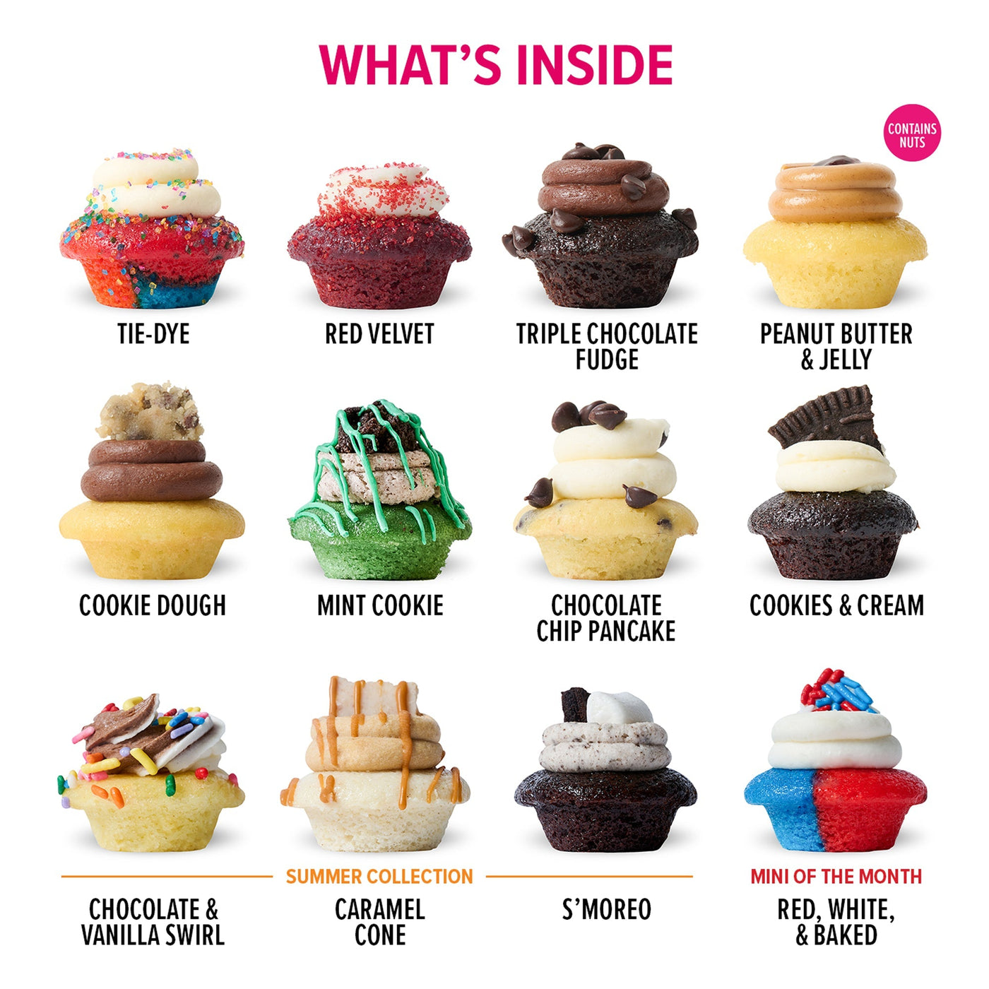 Birthday Gift Box 25-Pack w/ Latest & Greatest Cupcakes