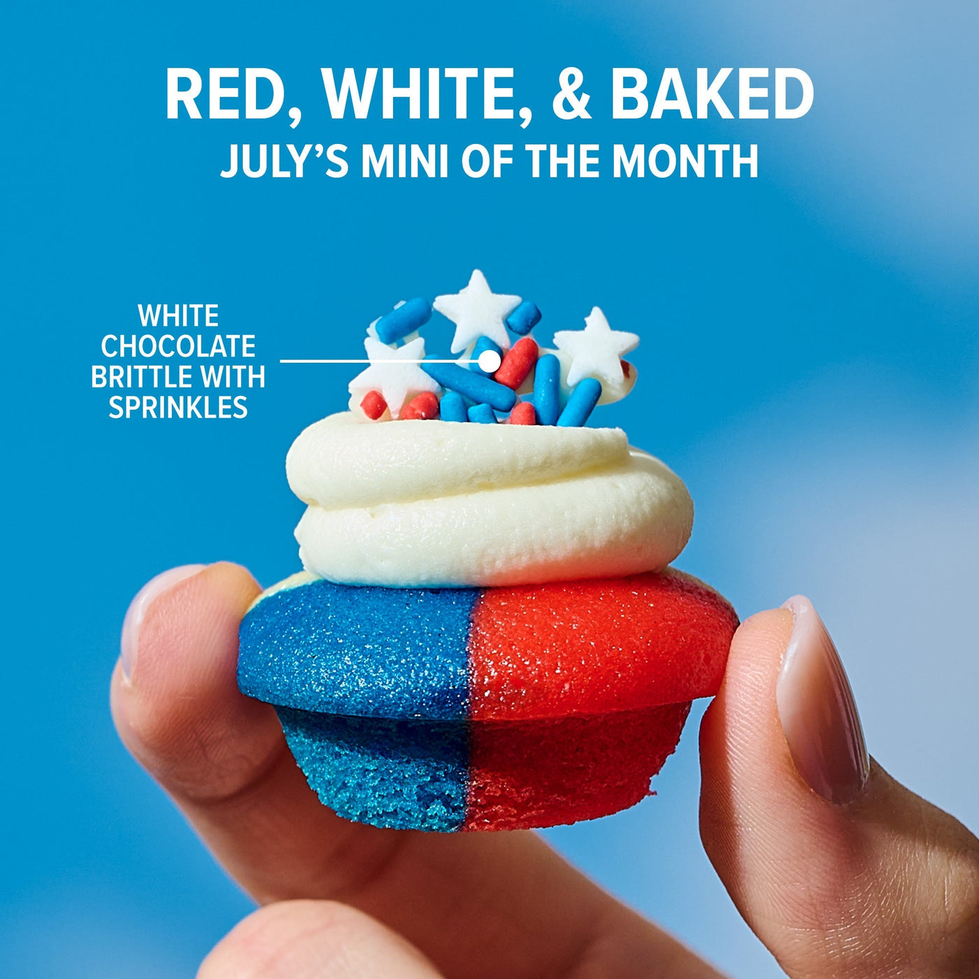 Latest & Greatest Cupcakes